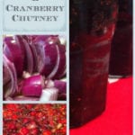 Red Onion and Cranberry Chutney