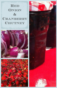 Caramelised Red Onion and Cranberry Chutney - The best onion chutney recipe using cranberries and caramelised red onions