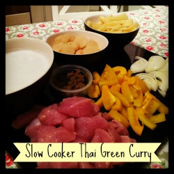 Easy Thai Green Slow Cooker Turkey Curry - Mild, family friendly slow cooker Thai green curry recipe