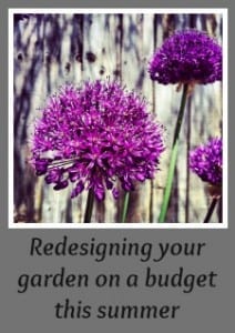 Redesigning your garden on a budget this summer