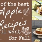150 of the Best Apple Recipes for Fall