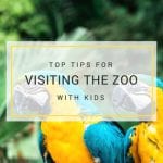 visiting the zoo with kids