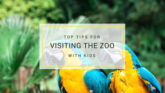 visiting the zoo with kids