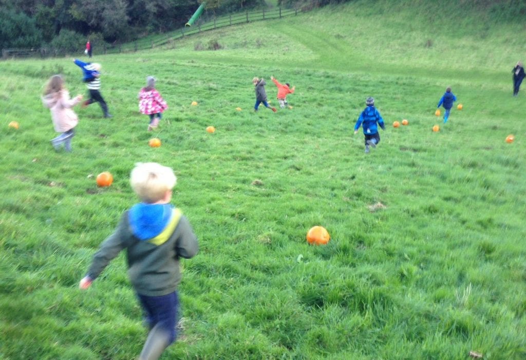 Pumpkin rolling wild kids bosinver cornwall review