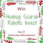 win a hexbug scarab