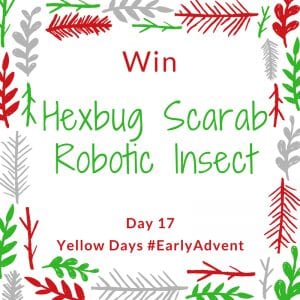 win a hexbug scarab
